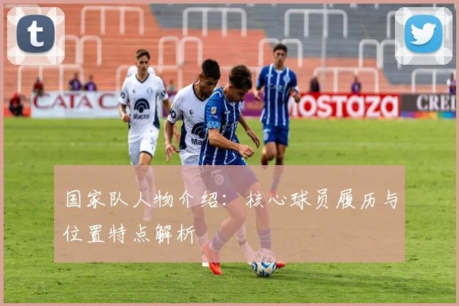 国家队人物介绍：核心球员履历与位置特点解析